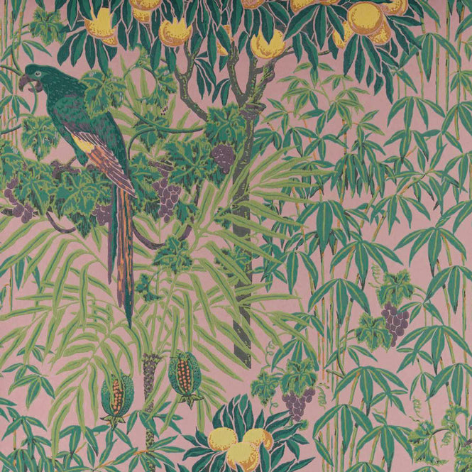 輸入壁紙 1838 Wallcoverings / V&A DECORATIVE PAPERS / MACAW Blush Pink 2311-167-02