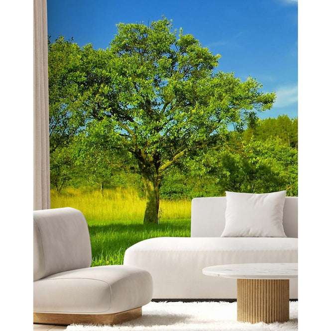 PHOTOWALL / Sunny Summer Day (e19340)