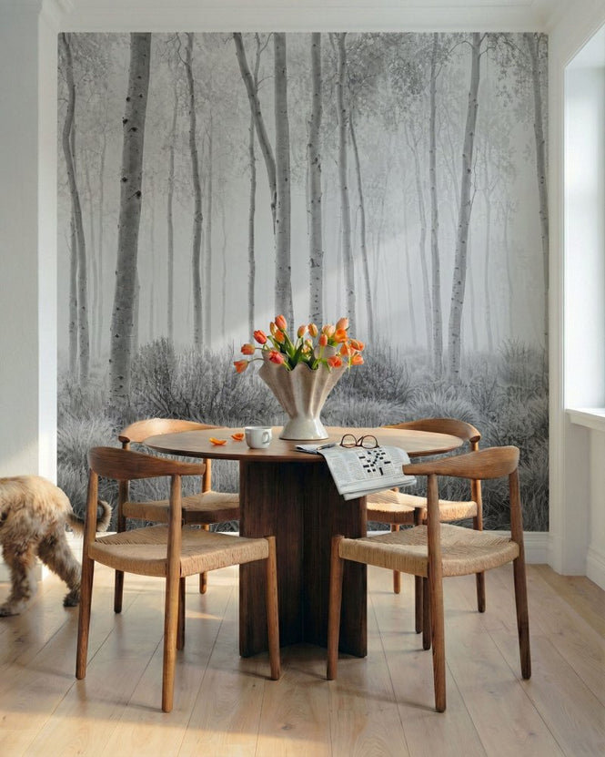 PHOTOWALL / Misty Birch Forest (e311060)