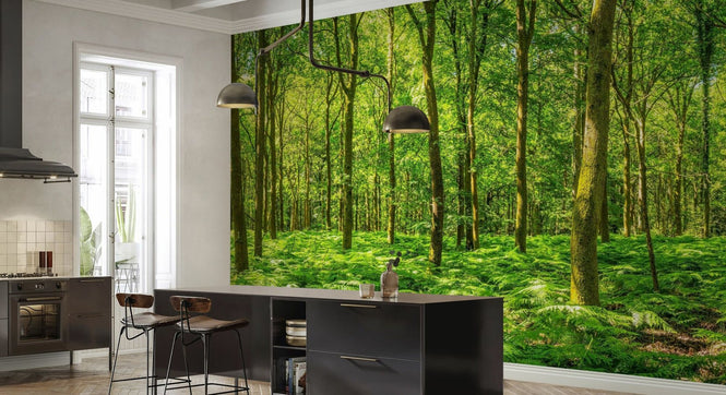 PHOTOWALL / Warming Green Forest (e315816)