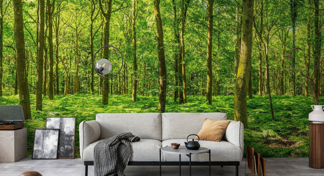 PHOTOWALL / Warming Green Forest (e315816)