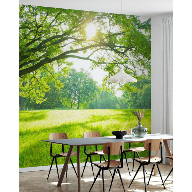 PHOTOWALL / Summer Park (e316059)