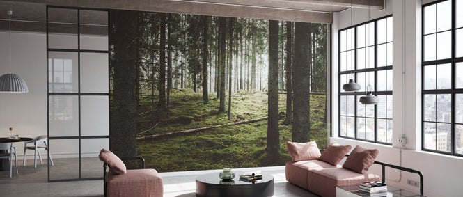 PHOTOWALL / Beautiful Woods Forest (e318024)