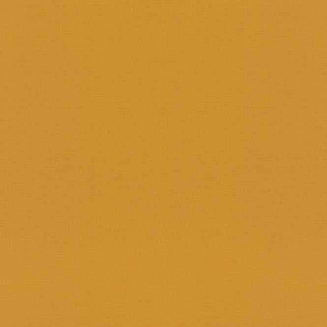 rasch ラッシュ / 687552 (Tropical House)