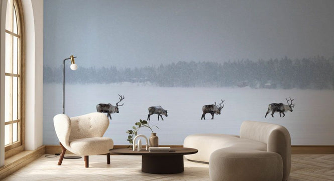PHOTOWALL / Reindeers in the Snow in Swedish Lapland (e93104)