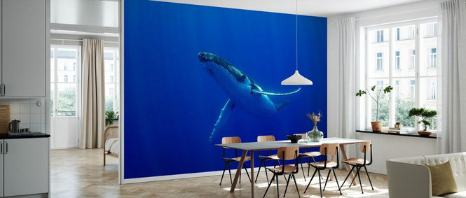 PHOTOWALL / Swimming Humpback Whale (e93369)