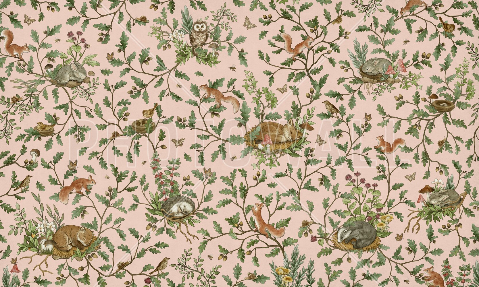 Zoom