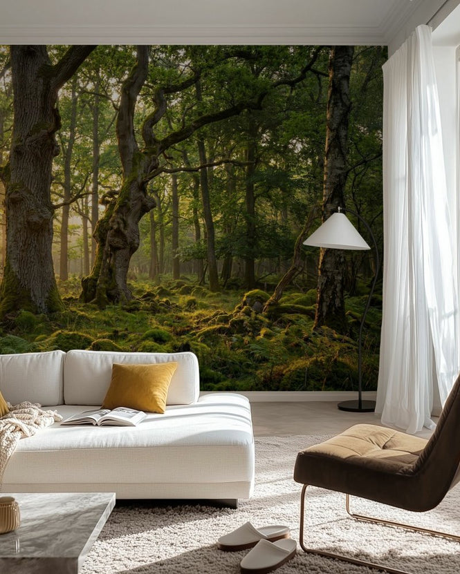 PHOTOWALL / Beautiful Forest (e97248)