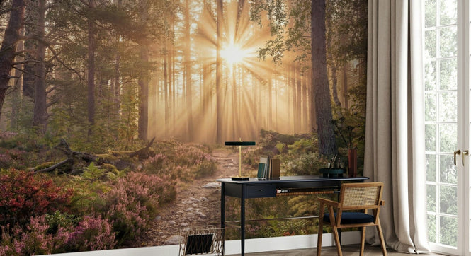 PHOTOWALL / Forest Sunray (e97257)