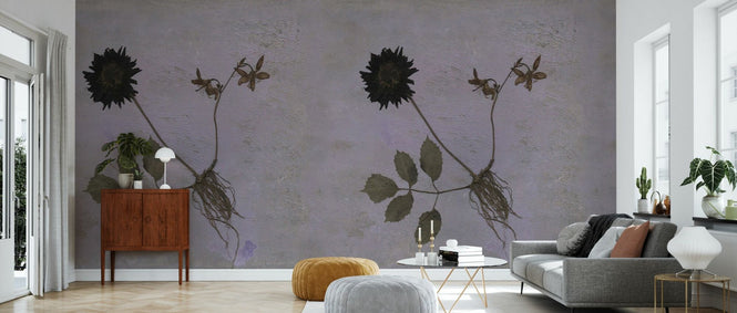 PHOTOWALL / Black Dahlia Panorama (e97263)