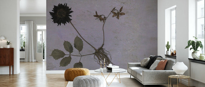 PHOTOWALL / Black Dahlia (e97269)