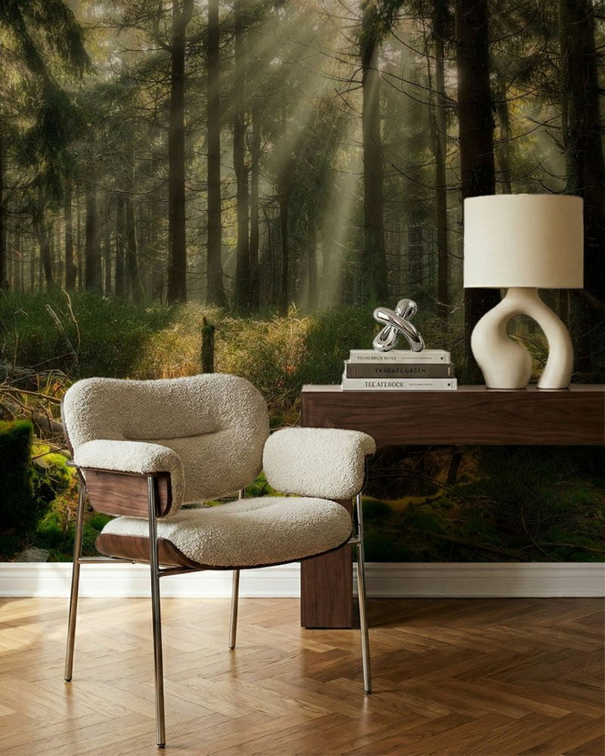 PHOTOWALL / Sunbeam in the Forest (e97333)