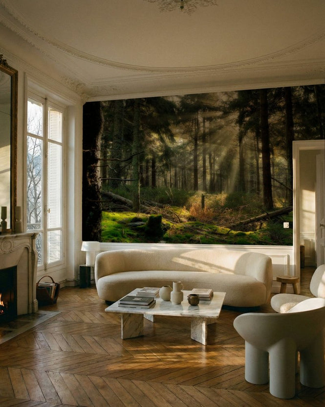 PHOTOWALL / Sunbeam in the Forest (e97333)