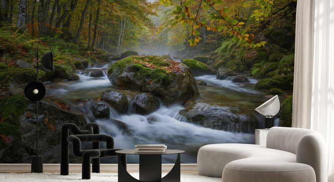 PHOTOWALL / Woodland River (e97360)