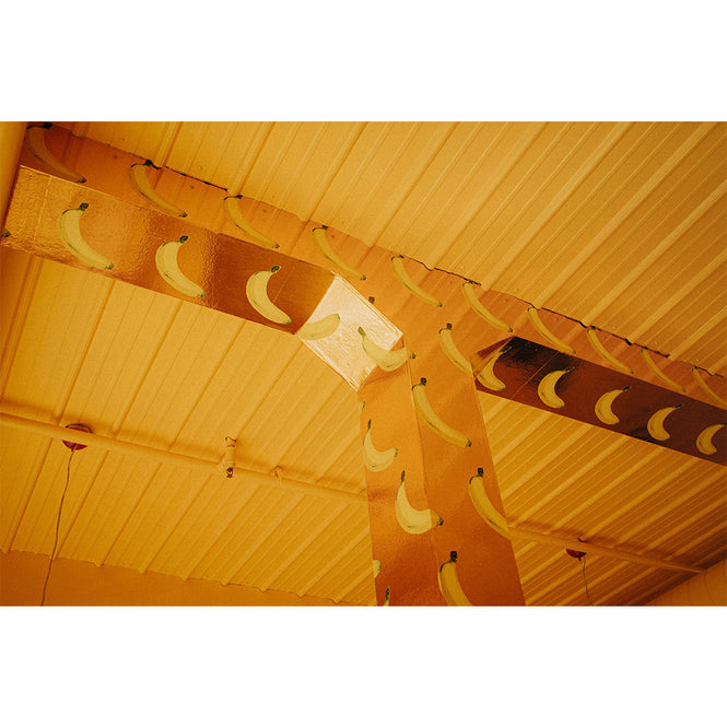 輸入壁紙 Flavor Paper / B-A-N-A-N-A-S! / Scented Copper on Copper Mylar (single roll)