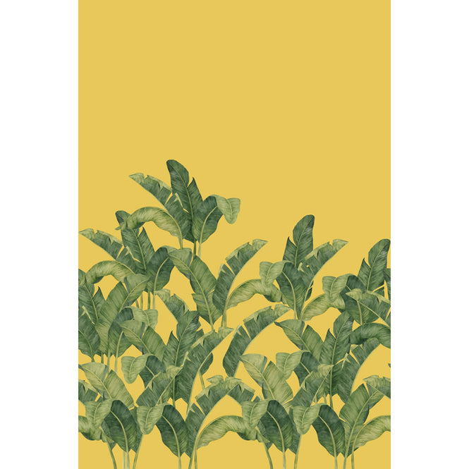 Tres Tintas / LES VANGARDES BANANELLA BA-01