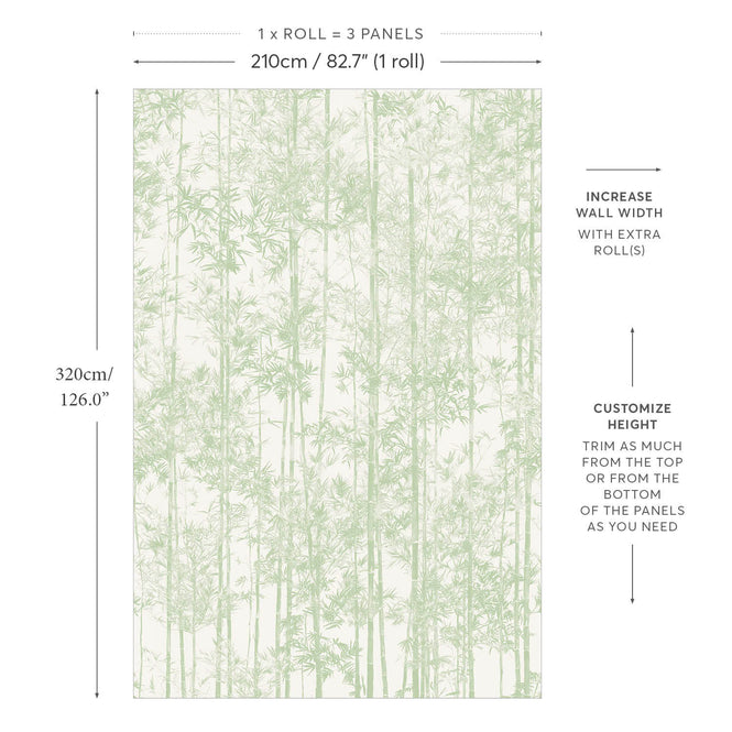 輸入壁紙 Sian Zeng / Bamboo Mural Wallpaper / Green 【3パネル1セット】