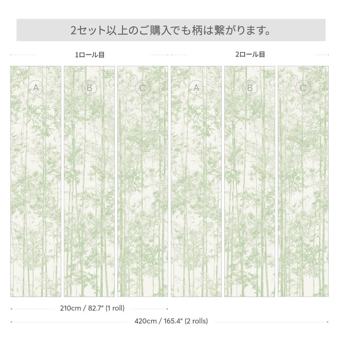 輸入壁紙 Sian Zeng / Bamboo Mural Wallpaper / Green 【3パネル1セット】