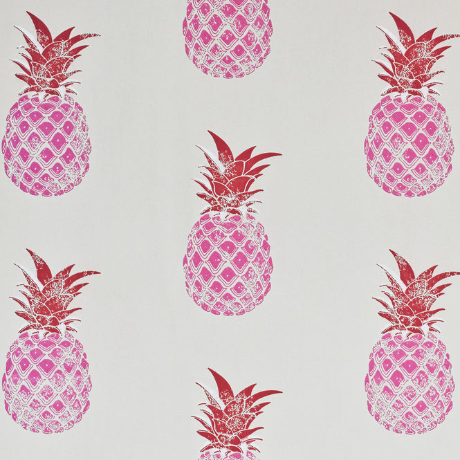 【A4サンプル】Barneby Gates / WALLPAPER BOOK VOL Ⅲ / Pineapple Red/Pink BG1200201