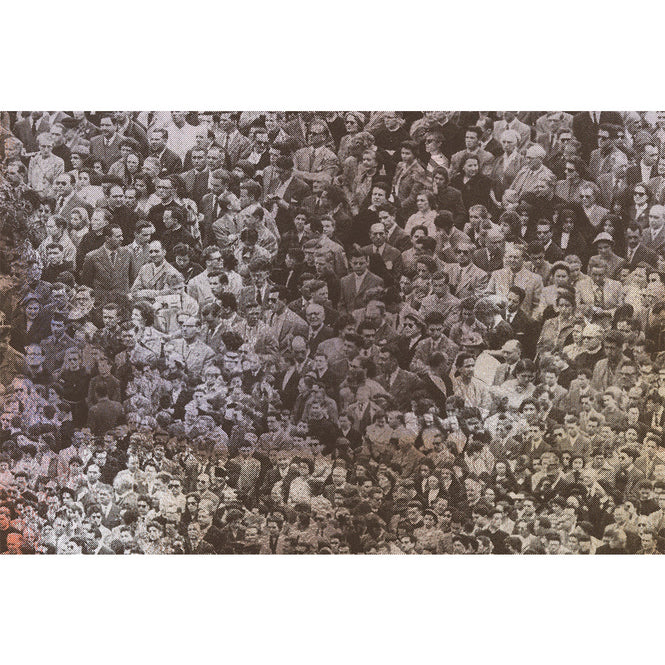 輸入壁紙 Andy Warhol / CROWD (Where's Warhol) / Licorice on Chrome Mylar (single roll)