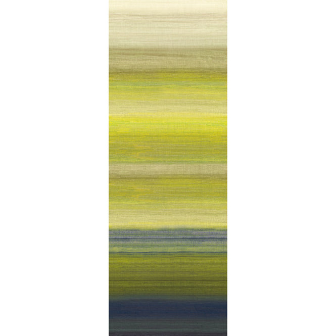 輸入壁紙 MASUREEL / SERICA / Chanderi Lime DGRIC206-300【H300cm ver.】