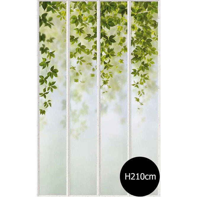 KOZIEL / Papier peint panoramique grande verriere blanche et vigne vierge LPV022XL