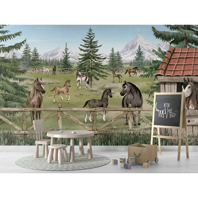Oliver Robins / Horse Haven W17755