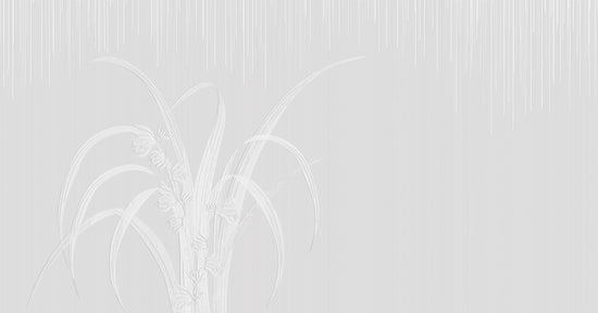H260cm ver.