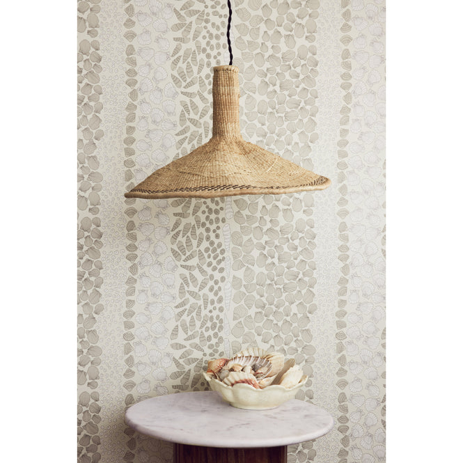 Abigail Edwards / Shells Cockle