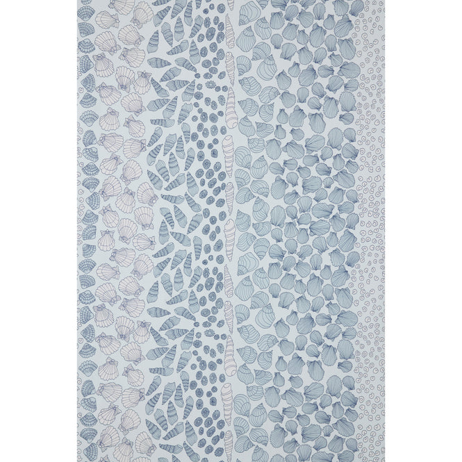 Abigail Edwards / Shells Ocean