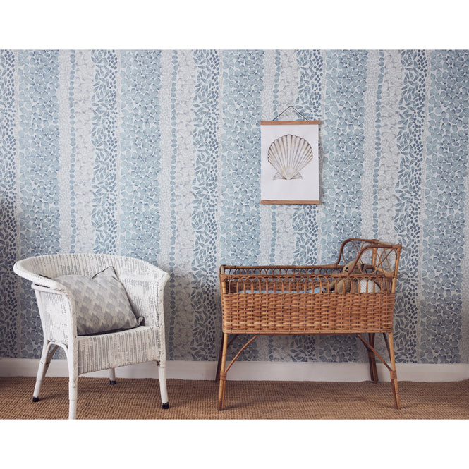 Abigail Edwards / Shells Ocean