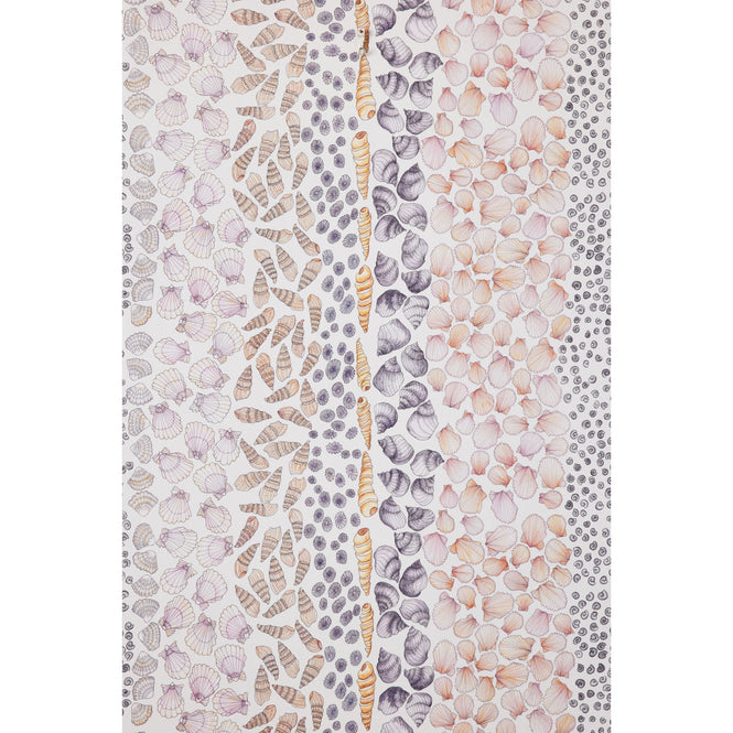 Abigail Edwards / Shells Watercolour