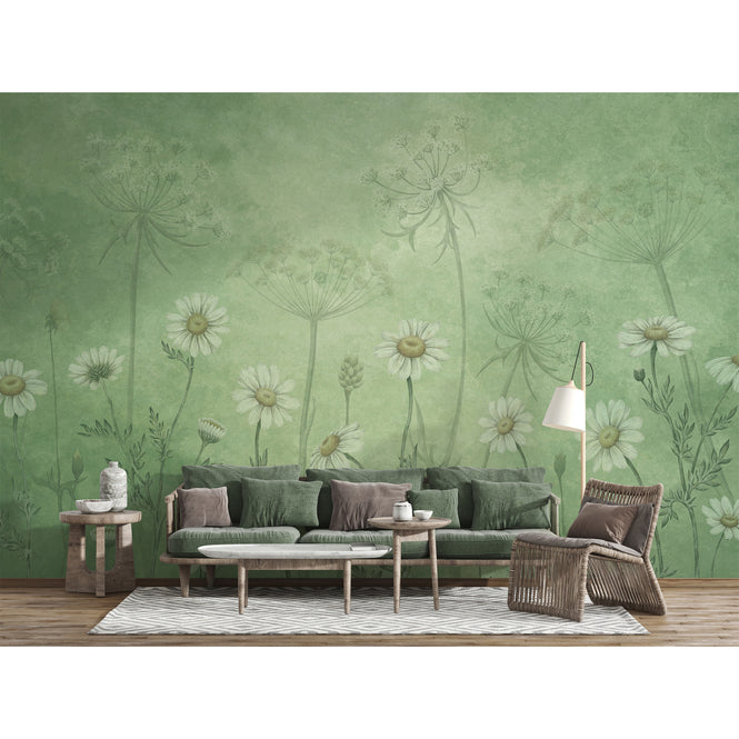 Sir Edward / Dazzling Daisies Green W13364