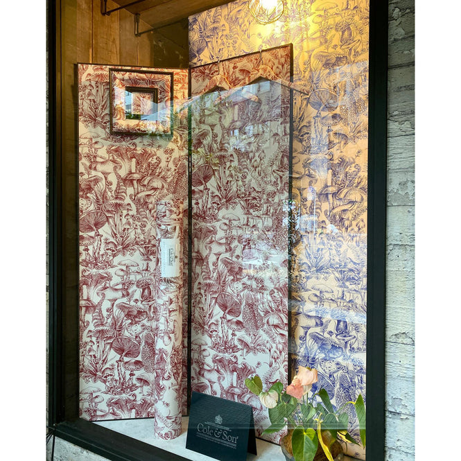 WALPA東京店のディスプレイ