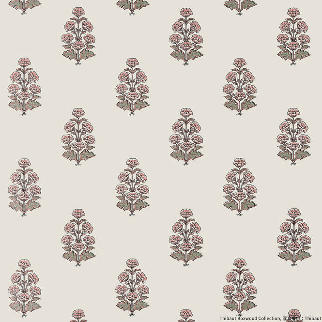 輸入壁紙 THIBAUT / Boxwood / AUDREY T10523