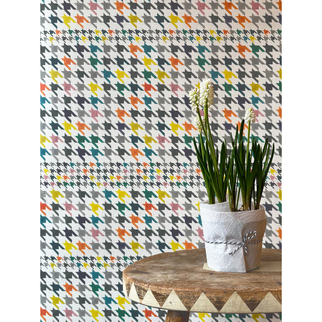 YSD LONDON / DERBY Palomino WP-DE-01