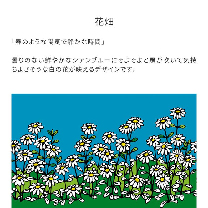 【WALLTZ】林雅彦DEKA / 花畑 / NWZ-HNBK