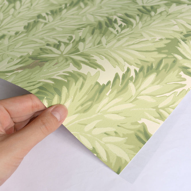 Cole&Son / ARCHIVE ANTHOLOGY 100/1003