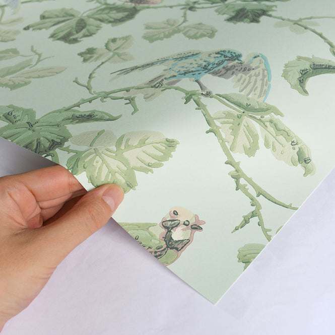 Cole&Son / ARCHIVE ANTHOLOGY 100/2007