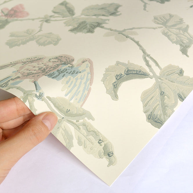 Cole&Son / ARCHIVE ANTHOLOGY 100/2009