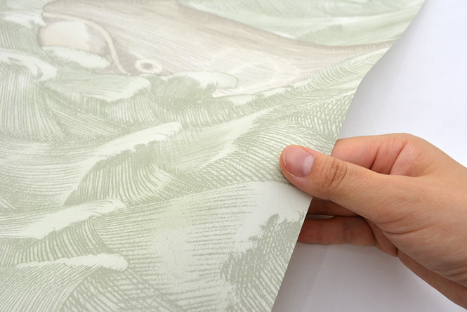 Cole&Son / WHIMSICAL / MELVILLE 103/1001