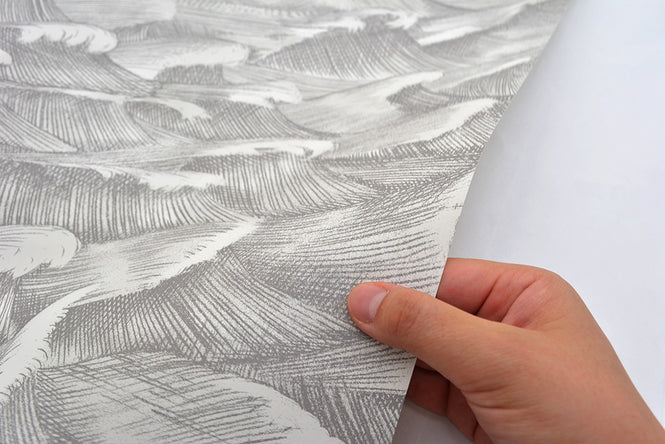 Cole&Son / WHIMSICAL / COLUMBUS 103/13055