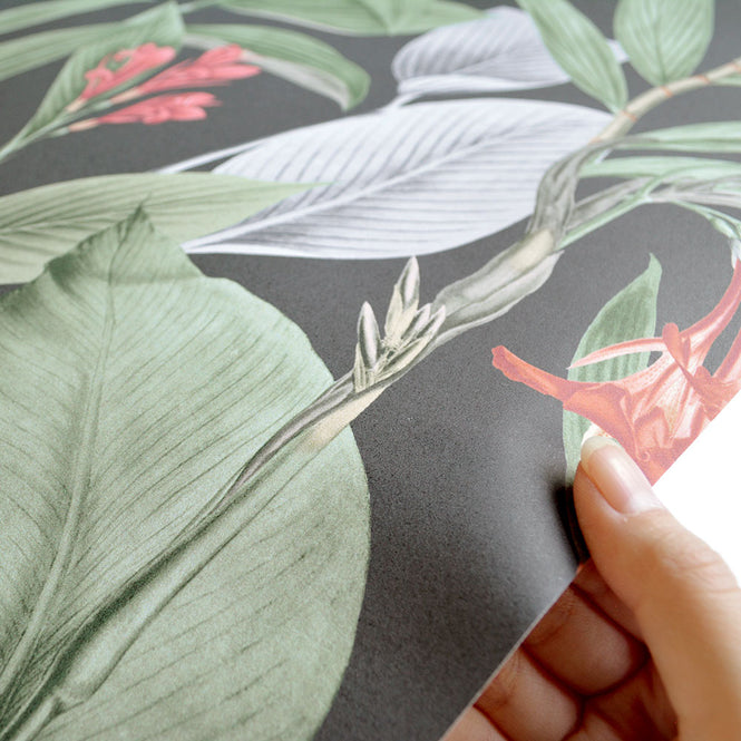 Graham & Brown / Botanical Black 103798