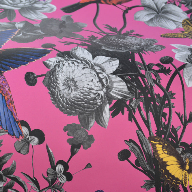 輸入壁紙 Graham & Brown / CURIOSITY / 106429