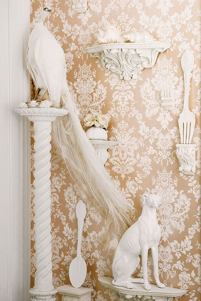 ※色違いの商品です