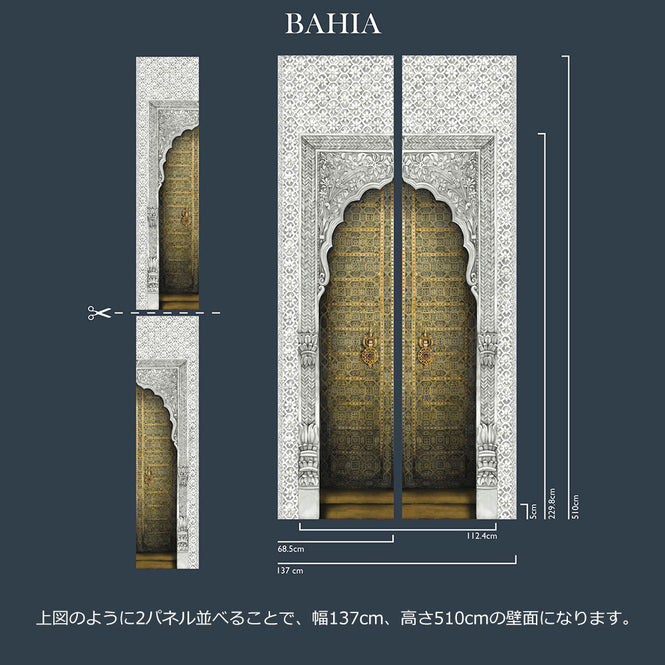 Cole&Son / MARTYN LAWRENCE BULLARD / BAHIA 113/4012【2パネル1セット】