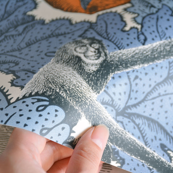 Cole&son / FORNASETTI SENZA TEMPO / FRUTTO PROIBITO 114/1003