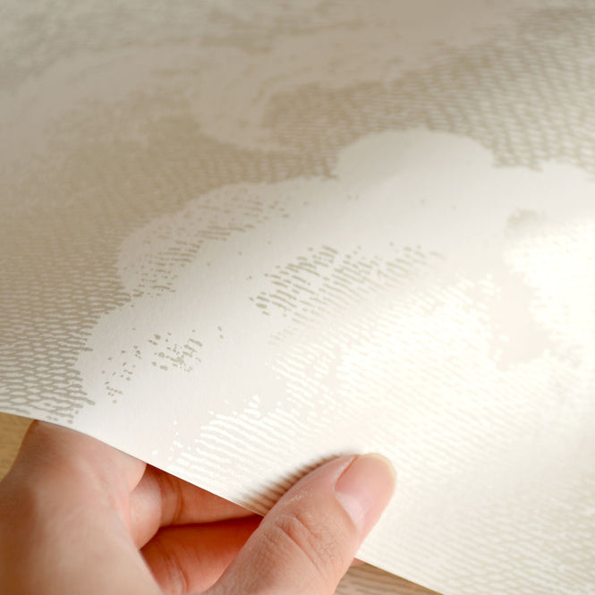 Cole&son / FORNASETTI 2018 NUVOLETTE 114/2005【2ロール1セット】