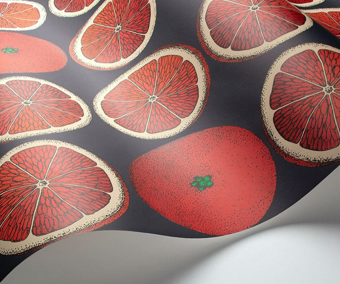 Cole&son / FORNASETTI SENZA TEMPO / ARANCE 114/24046