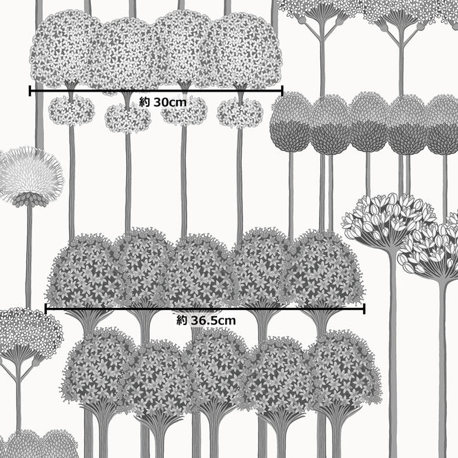 サイズ参照画像